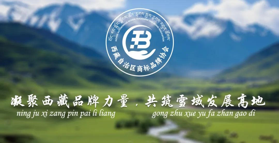 西藏自治区商标品牌协会